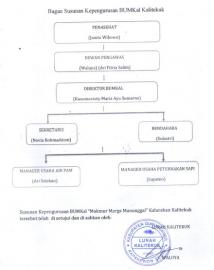 Bagan Susunan Pengurus BUMDes 